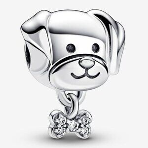 Pet Dog & Bone Charm